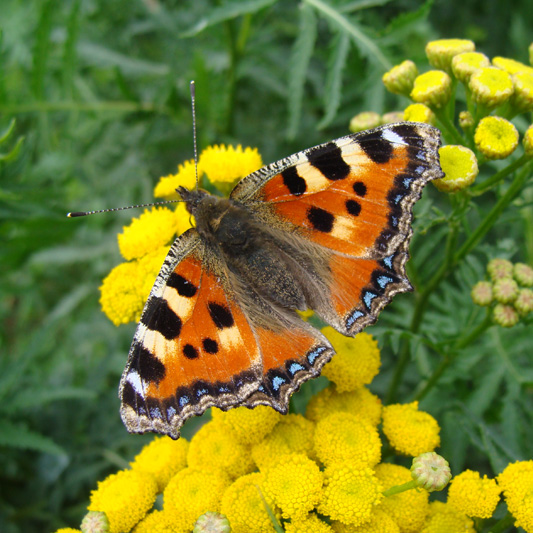 03.Natur
